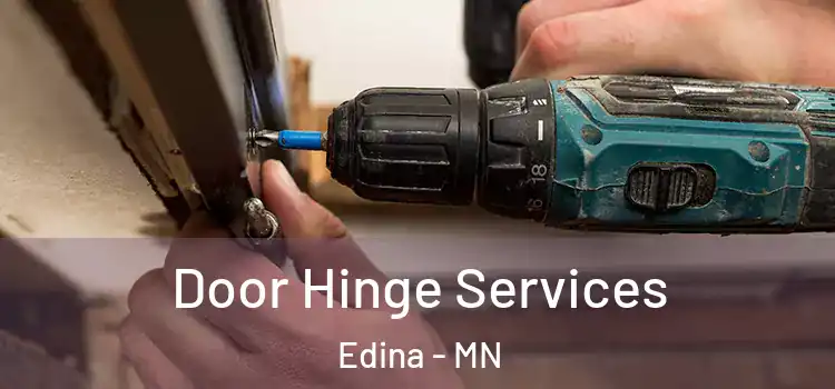 Door Hinge Services Edina - MN