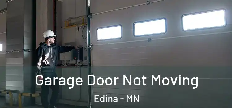  Garage Door Not Moving Edina - MN