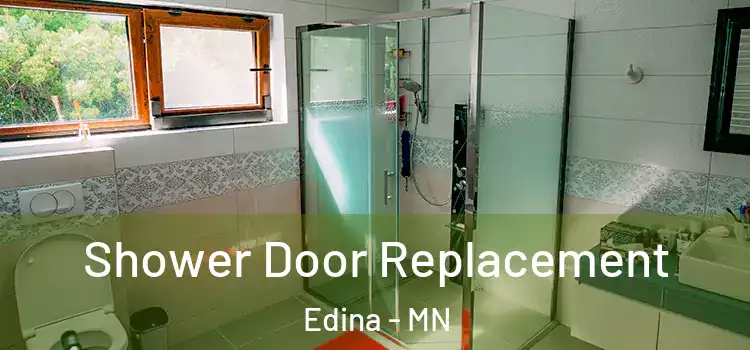 Shower Door Replacement Edina - MN
